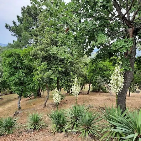 Villa Tutti I Colori Del Chianti