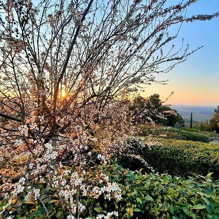 Tutti I Colori Del Chianti Villa Linari