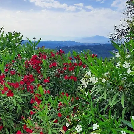Villa Tutti I Colori Del Chianti