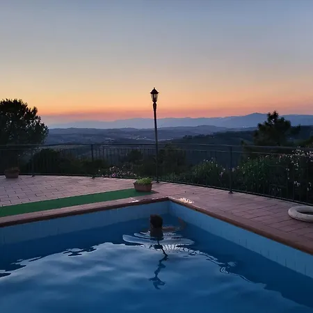 Tutti I Colori Del Chianti Linari